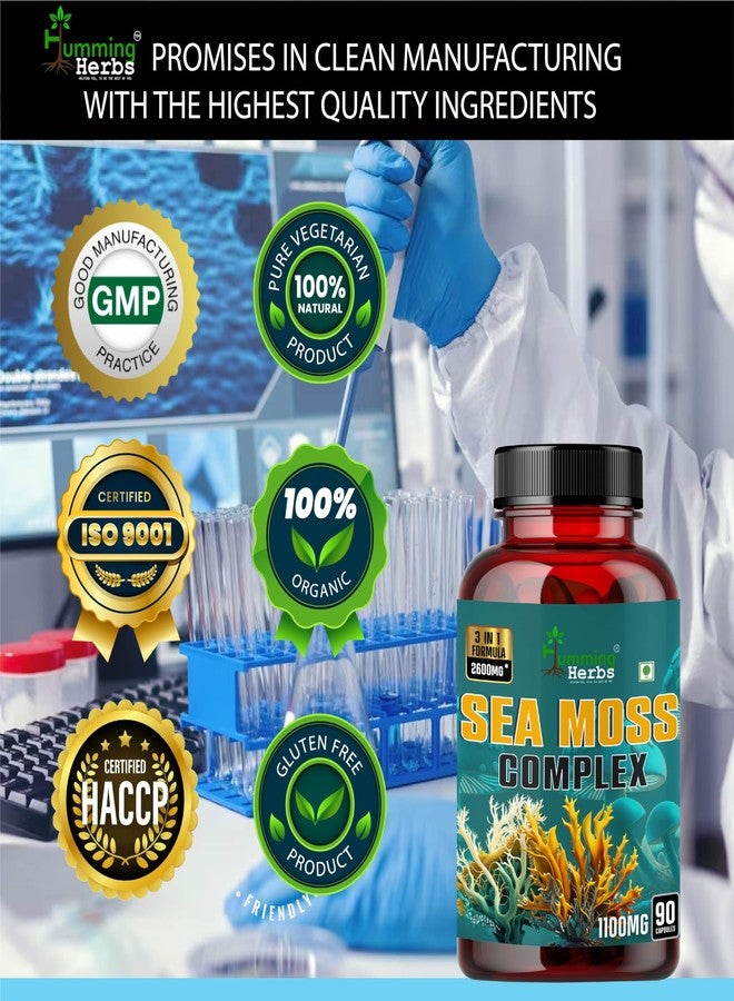 Humming Herbs Sea Moss Complex 90 Capsules - With Irish Sea Moss Powder, Bladderwrack, Burdock Root Extract | Sourced from European Sea's | Bio available Minerals for Thyroid, Skin and Joint Support - Image 5